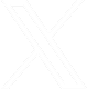 X Icon